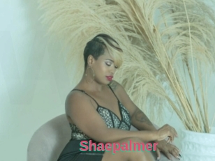 Shaepalmer