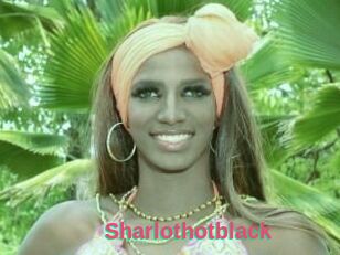 Sharlothotblack