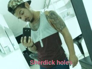 Sherdick_holes