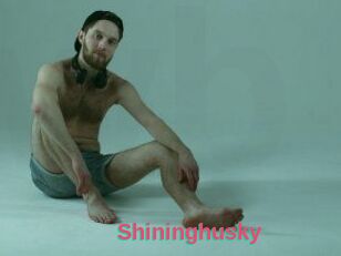 Shininghusky