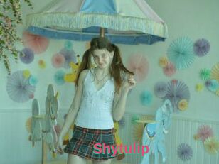Shytulip