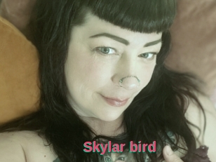 Skylar_bird