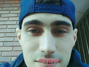 Skyleer
