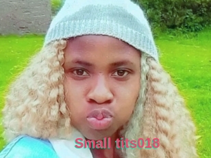 Small_tits018