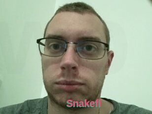 Snakefl