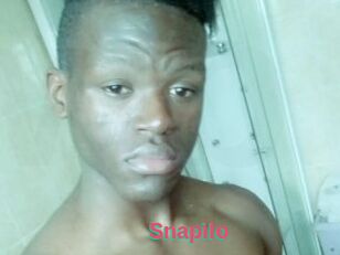 Snapilo