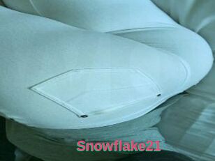 Snowflake21