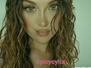 Spicycylia