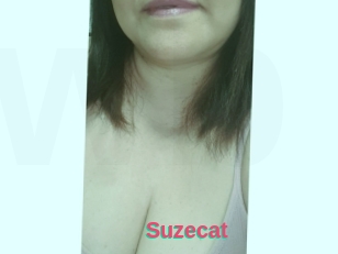 Suzecat
