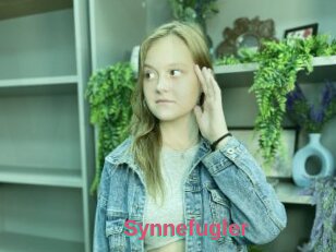 Synnefugler