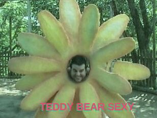 TEDDY_BEAR_SEXY