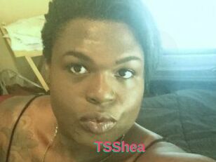 TS_Shea