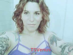 TS_Venus