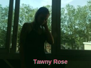 Tawny_Rose