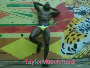 TaylorMusclehard