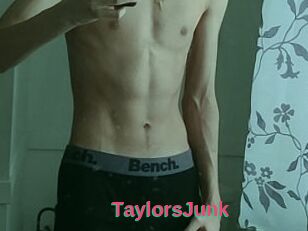 TaylorsJunk
