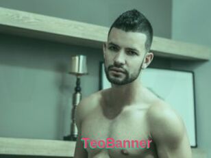 TeoBanner