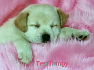 TestThingy