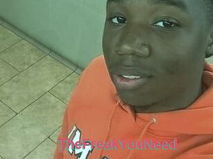 TheFreakYouNeed