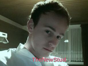 TheNewStud