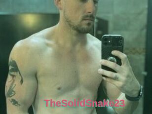 TheSolidSnake23