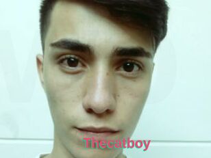 Thecatboy