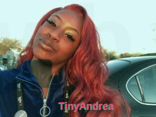 TinyAndrea