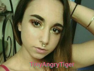 TinyAngryTiger