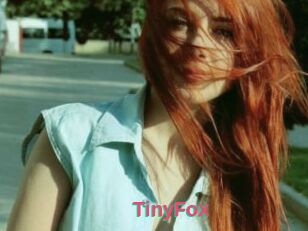 TinyFox