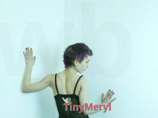 TinyMeryl