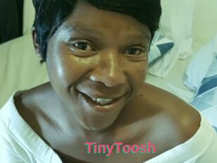 TinyToosh