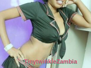 TinytwinkleZambia