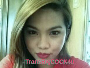 TransBigCOCK4u
