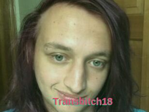 Transbitch18
