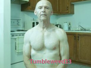 Tumbleweed13