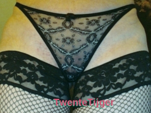 TwenteTijger