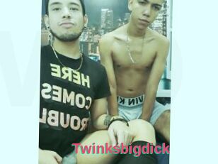 Twinksbigdick