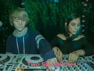 Two_SpicyKitties