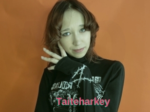 Taiteharkey