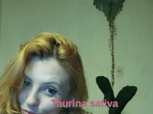 Taurina_sativa