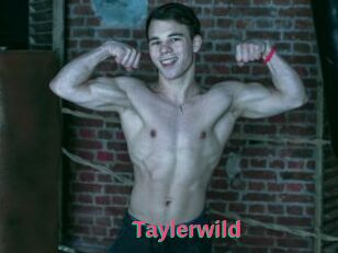 Taylerwild