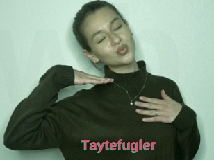 Taytefugler
