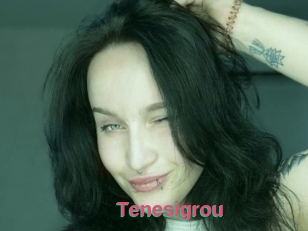 Tenesigrou