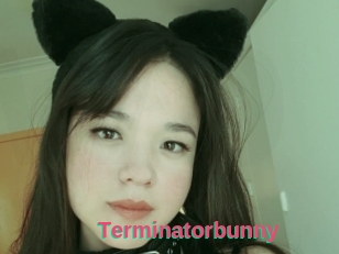 Terminatorbunny
