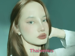 Thaivenus