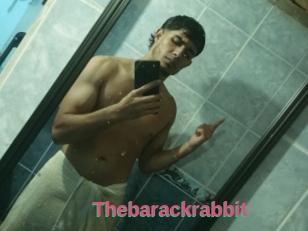Thebarackrabbit