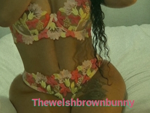 Thewelshbrownbunny
