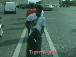 Tigrenegro