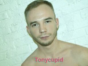 Tonycupid
