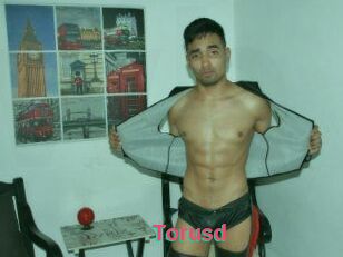 Torusd